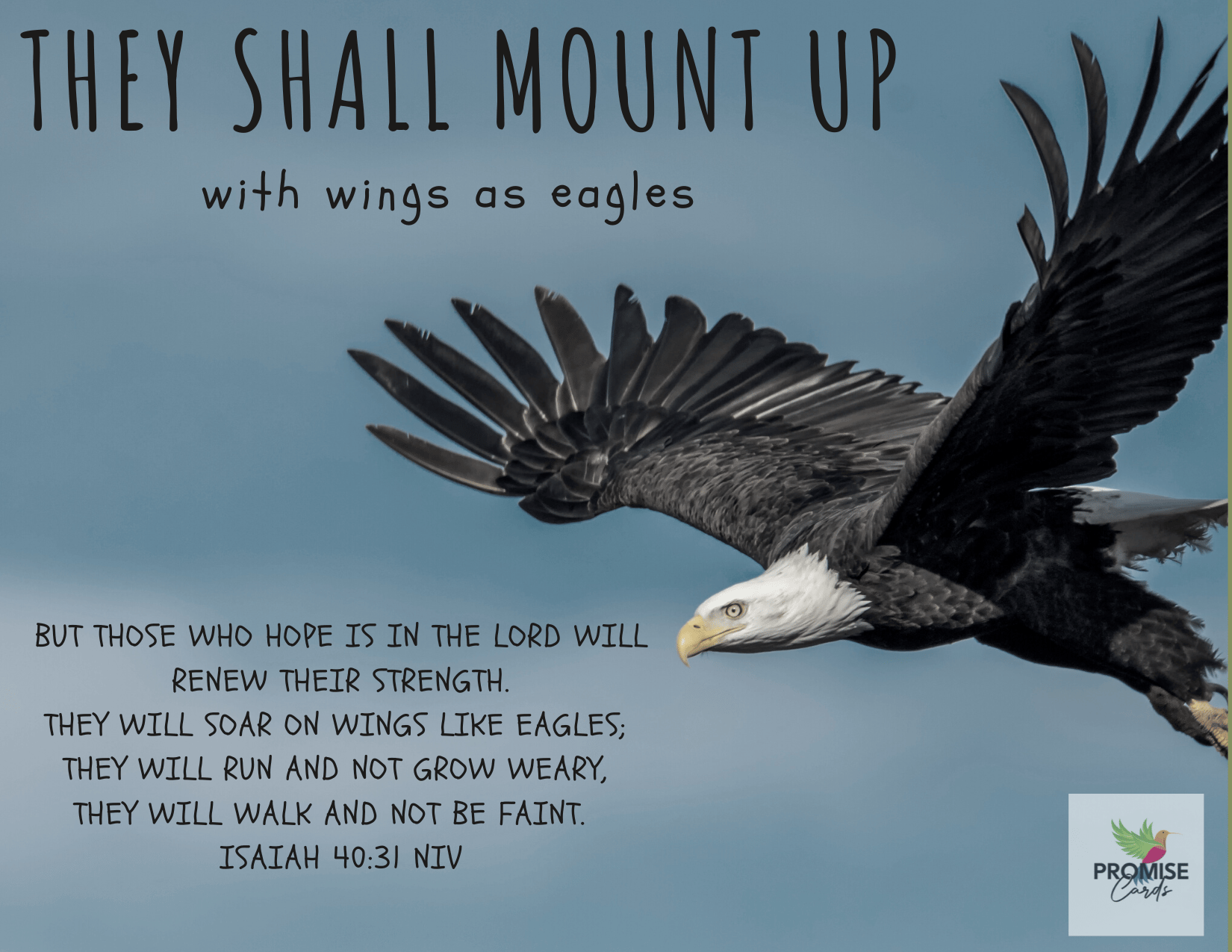 Eagle Promise Card-blue - Payhip