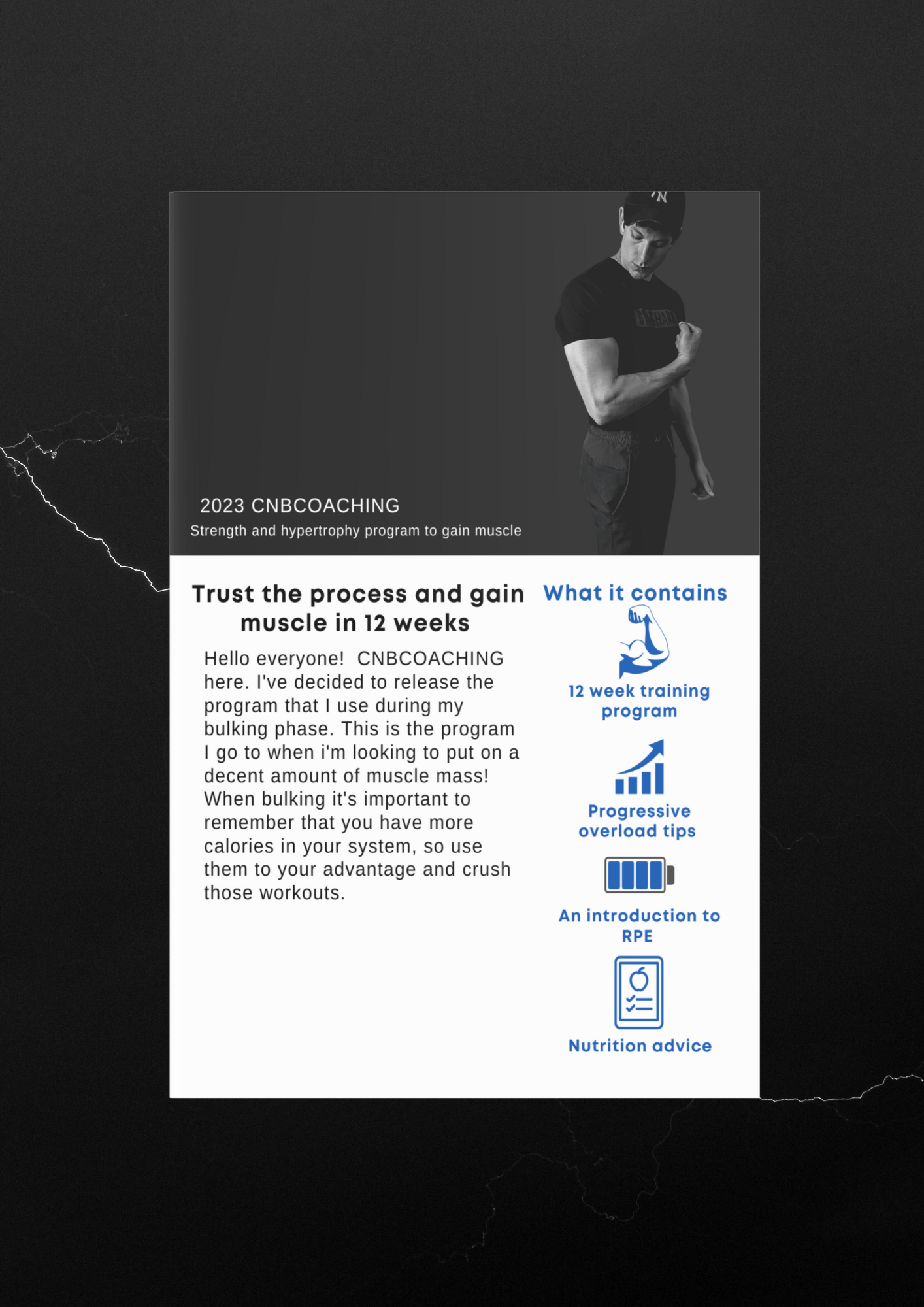 12 Week Bulking Program - Payhip