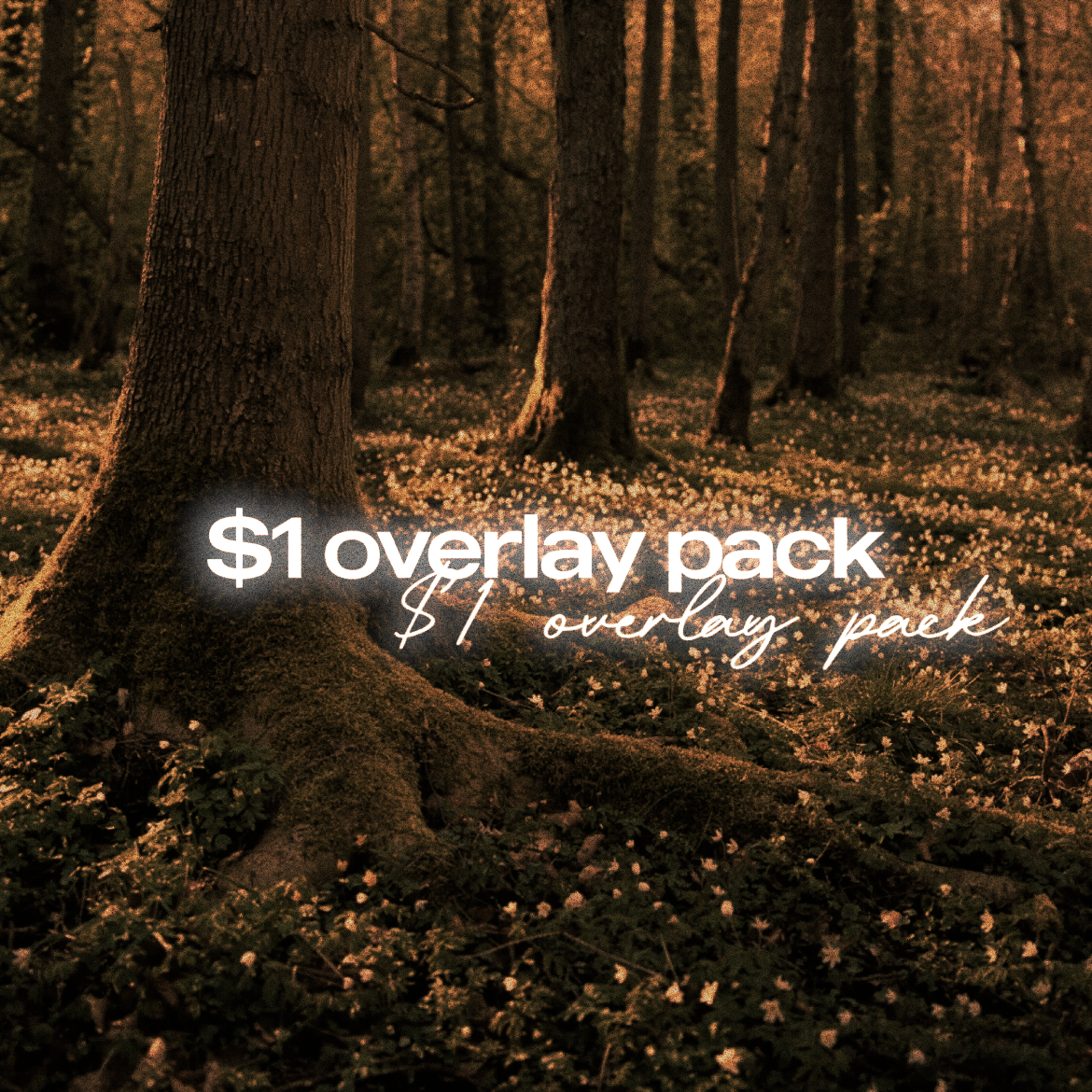 $1 overlay pack - Payhip