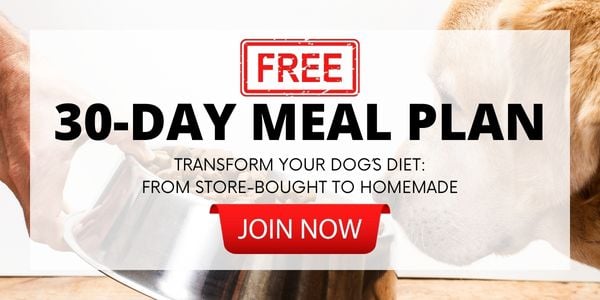 30 day meal plan homemade dog food
