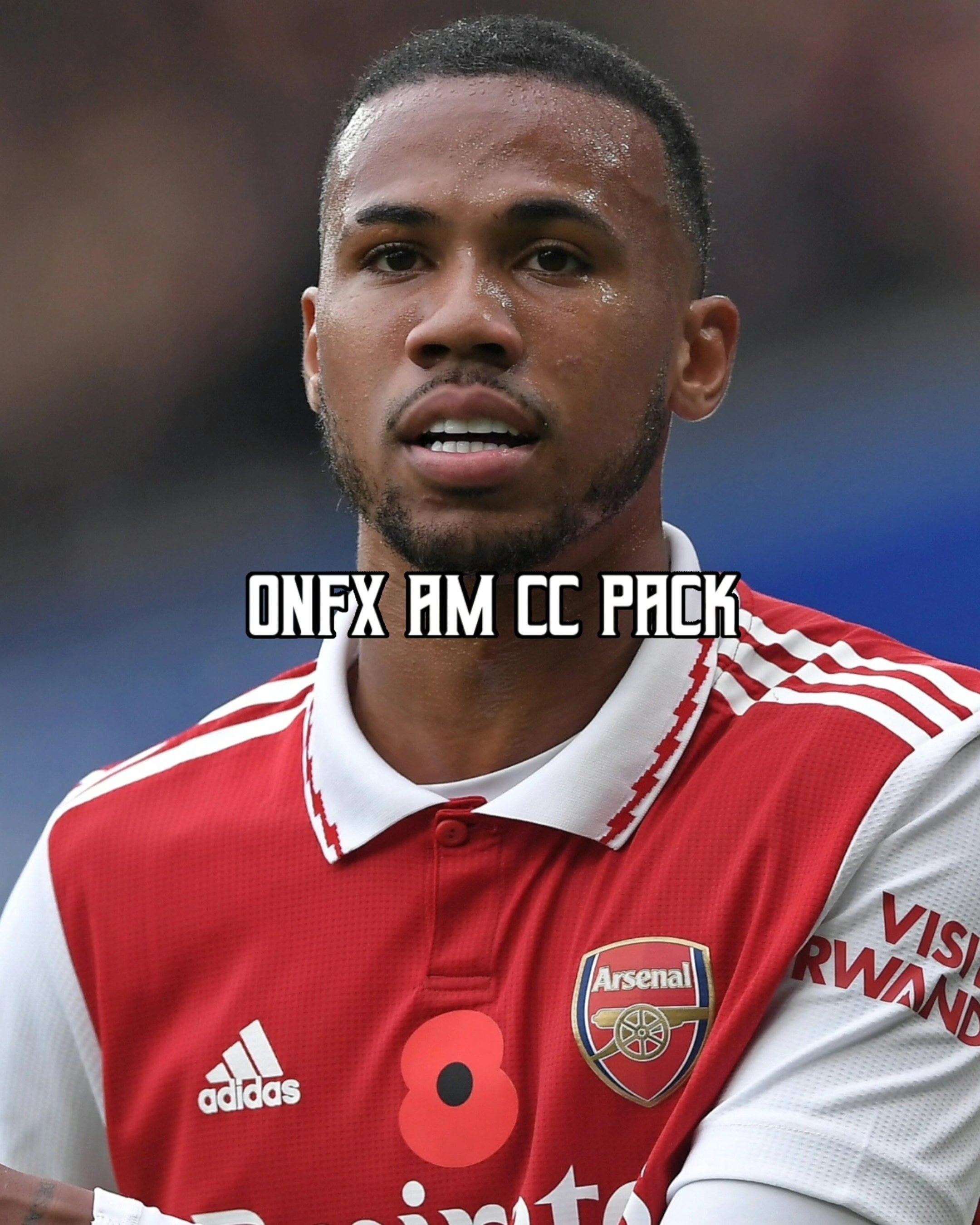 Onyfx's AM CC Pack 🤩 - 𝗜𝗡𝗙𝗢 𝗜𝗡 𝗗𝗘𝗦𝗖𝗥𝗜𝗣𝗧𝗜𝗢𝗡 - Payhip