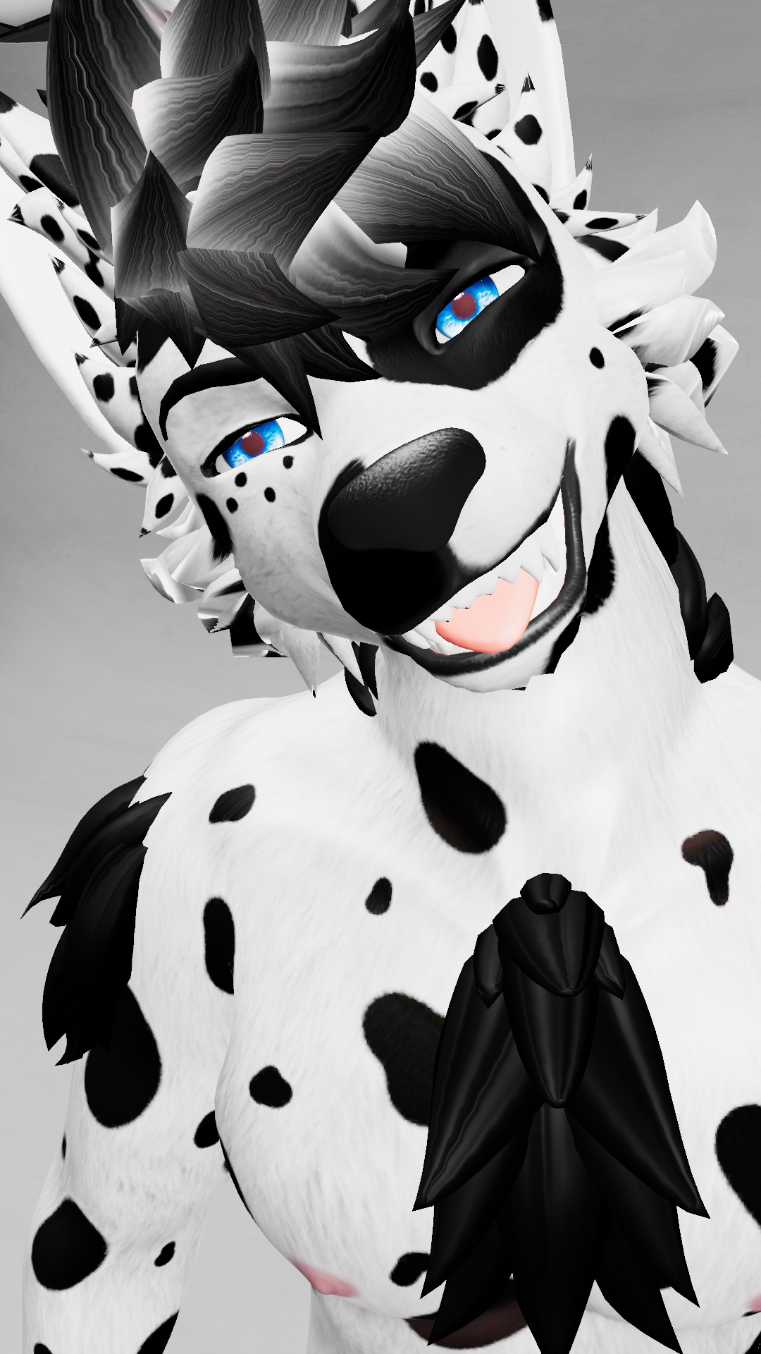 Dalmatian Textures - Archer 