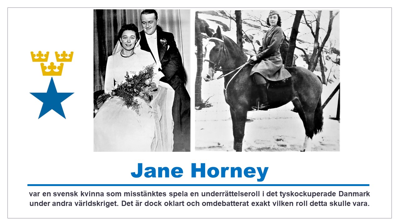 Jane Horney (Swedish) - Payhip