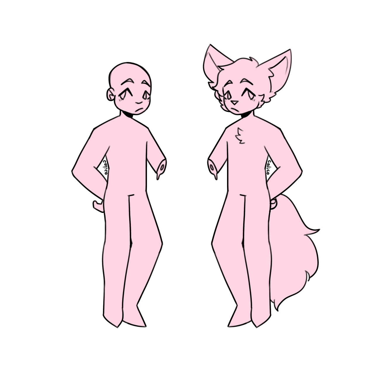 Human/Anthro Fullbody Base - Payhip