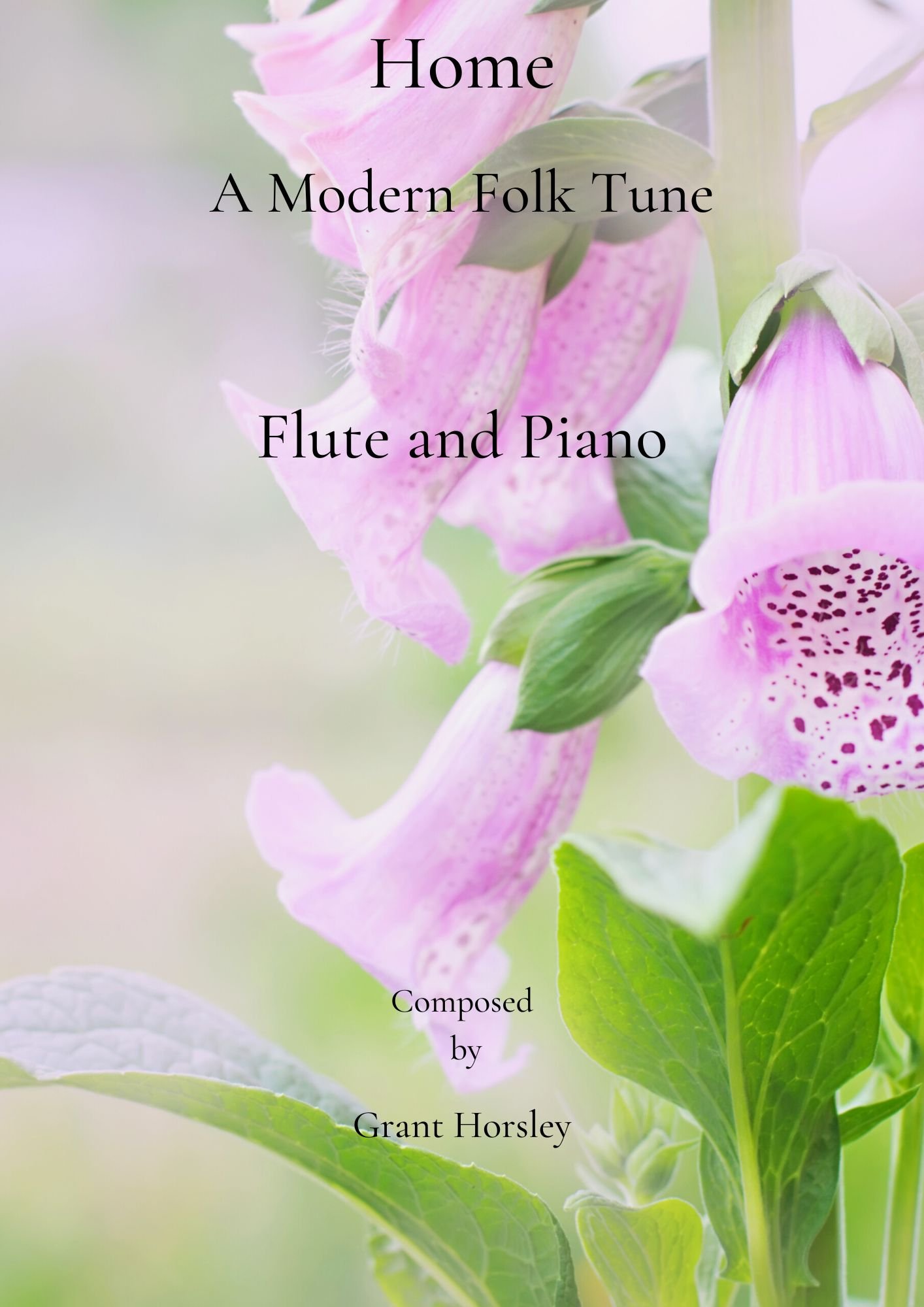  home an original modern folk tune for flute and piano payhip