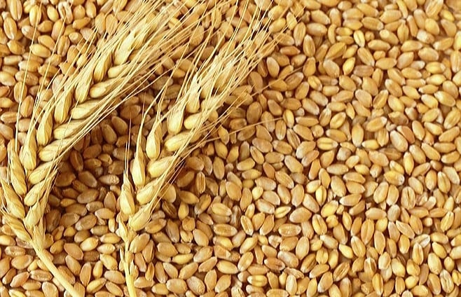 ZMX to increase grain sales efficiency in Zimbabwe.