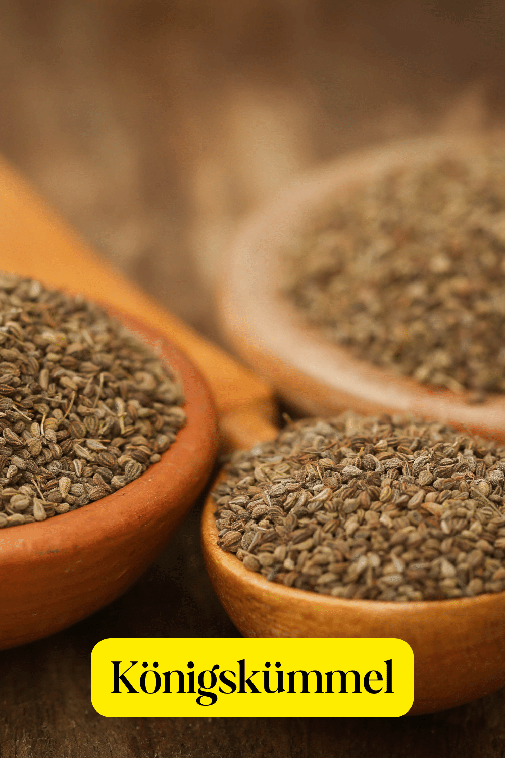 Ajwain Samen, Königssamen in Holzlöffeln in Küche