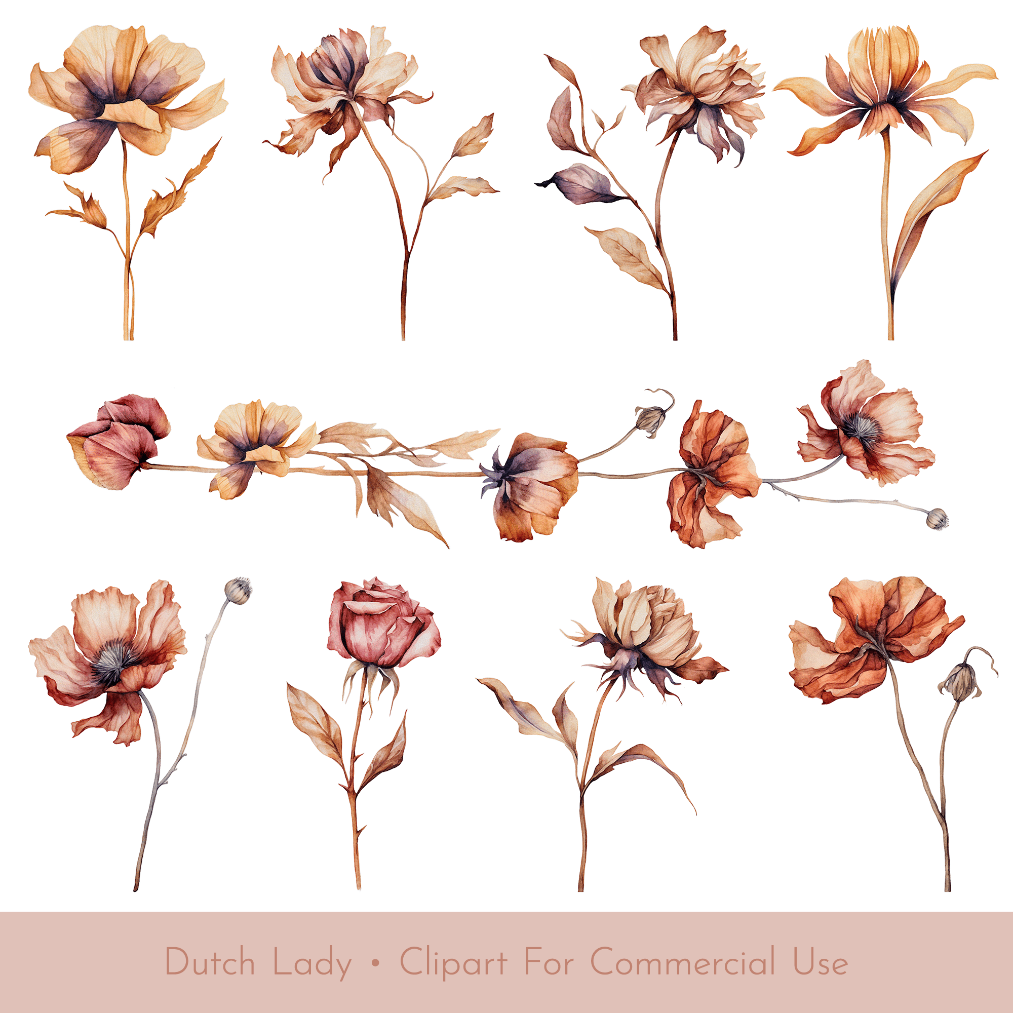 The Dutch Lady Designs - Clipart - Flowers