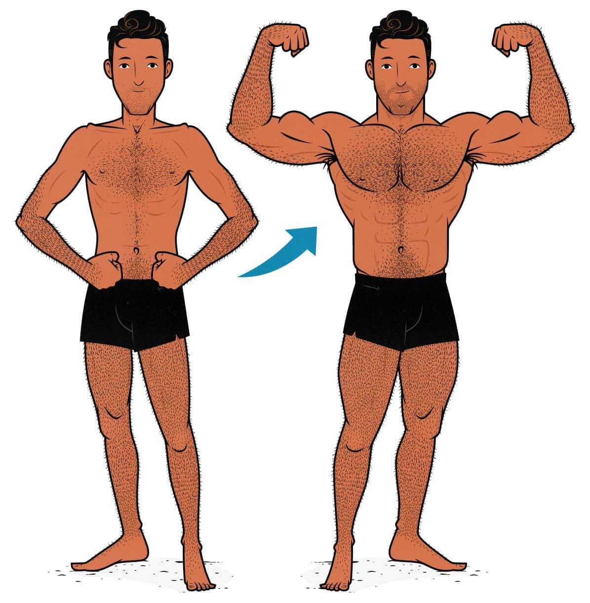 Bulk Up Fast: A Guide for Skinny Guys — Eightify