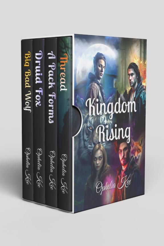 Kingdom Rising Boxed Set Image