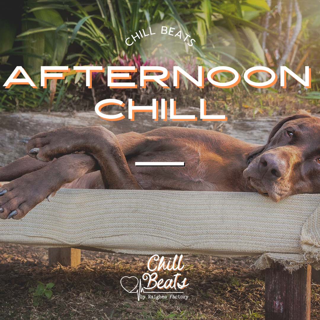 Afternoon Chill ~ Chill Beats playlists relaxing hiphop by Raighes Chill Beats