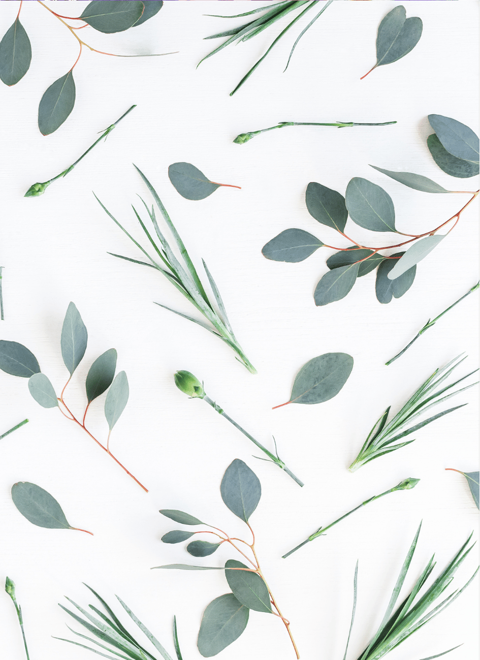 Instantly Elevate Your Space with 50 Trending Pattern Downloads