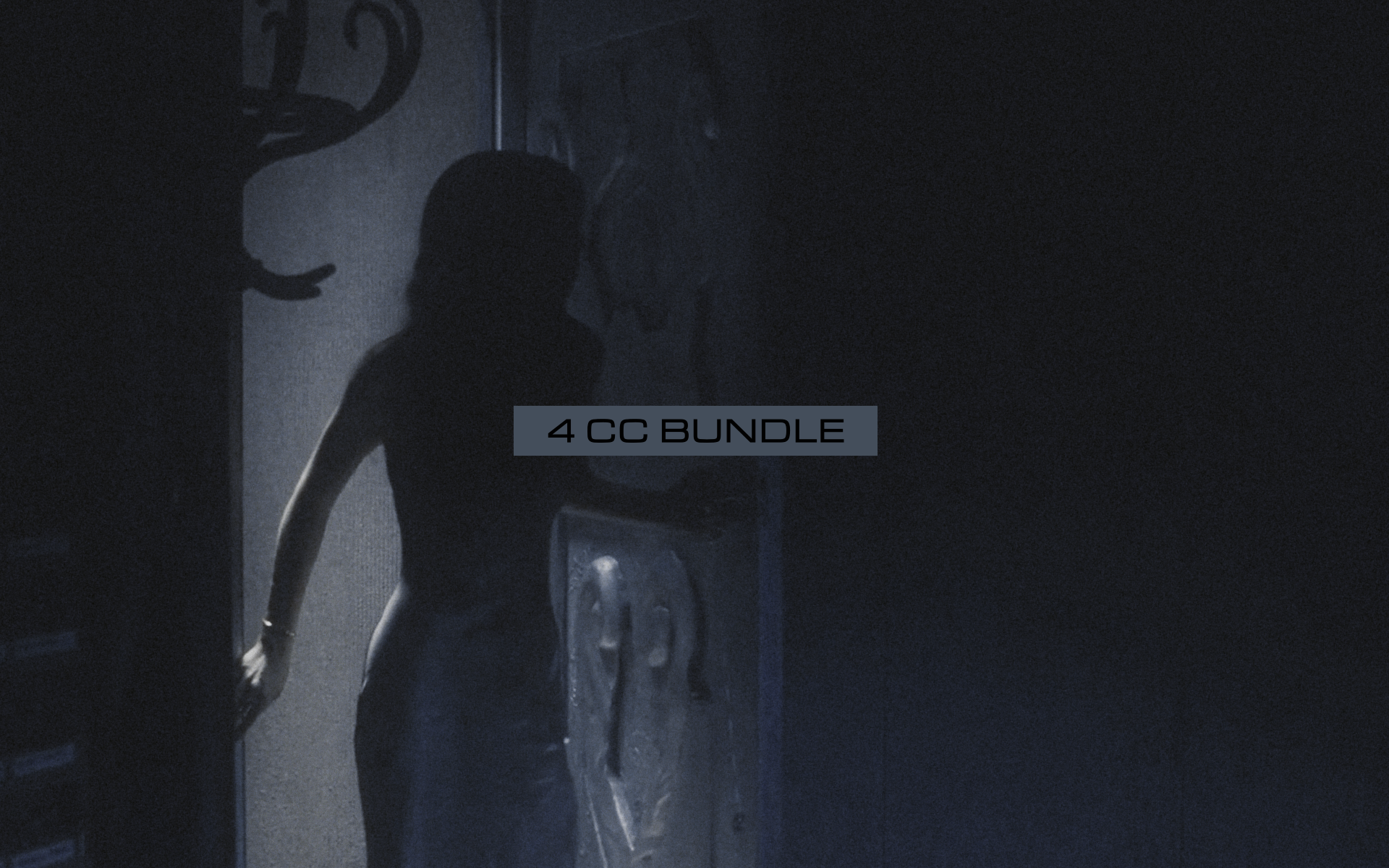 4 cc bundle - Payhip