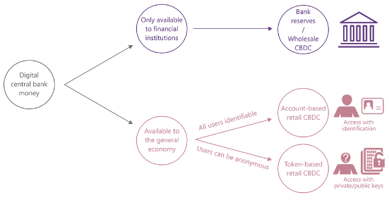 The “new monetary system” is the Central Bank Digital Coins (CBDCs).