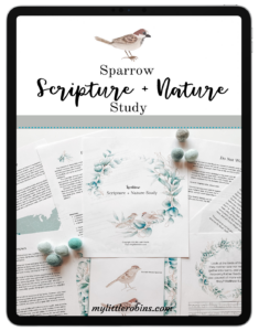 scripture nature study