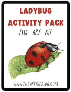 ladybug activity pack