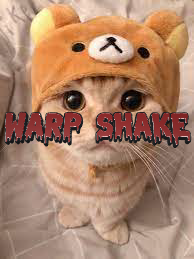 Warp shake I use for most of my edits! - Payhip