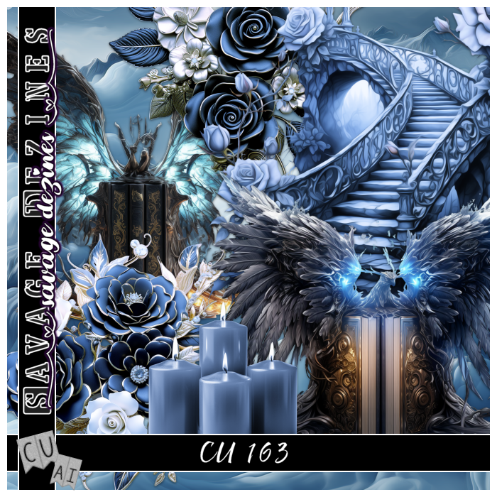 AI CU 163 PACK