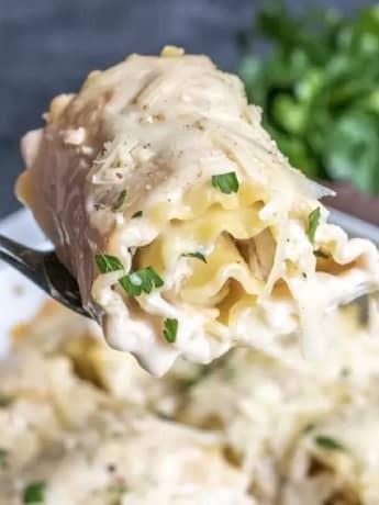 Chicken Alfredo Roll-ups