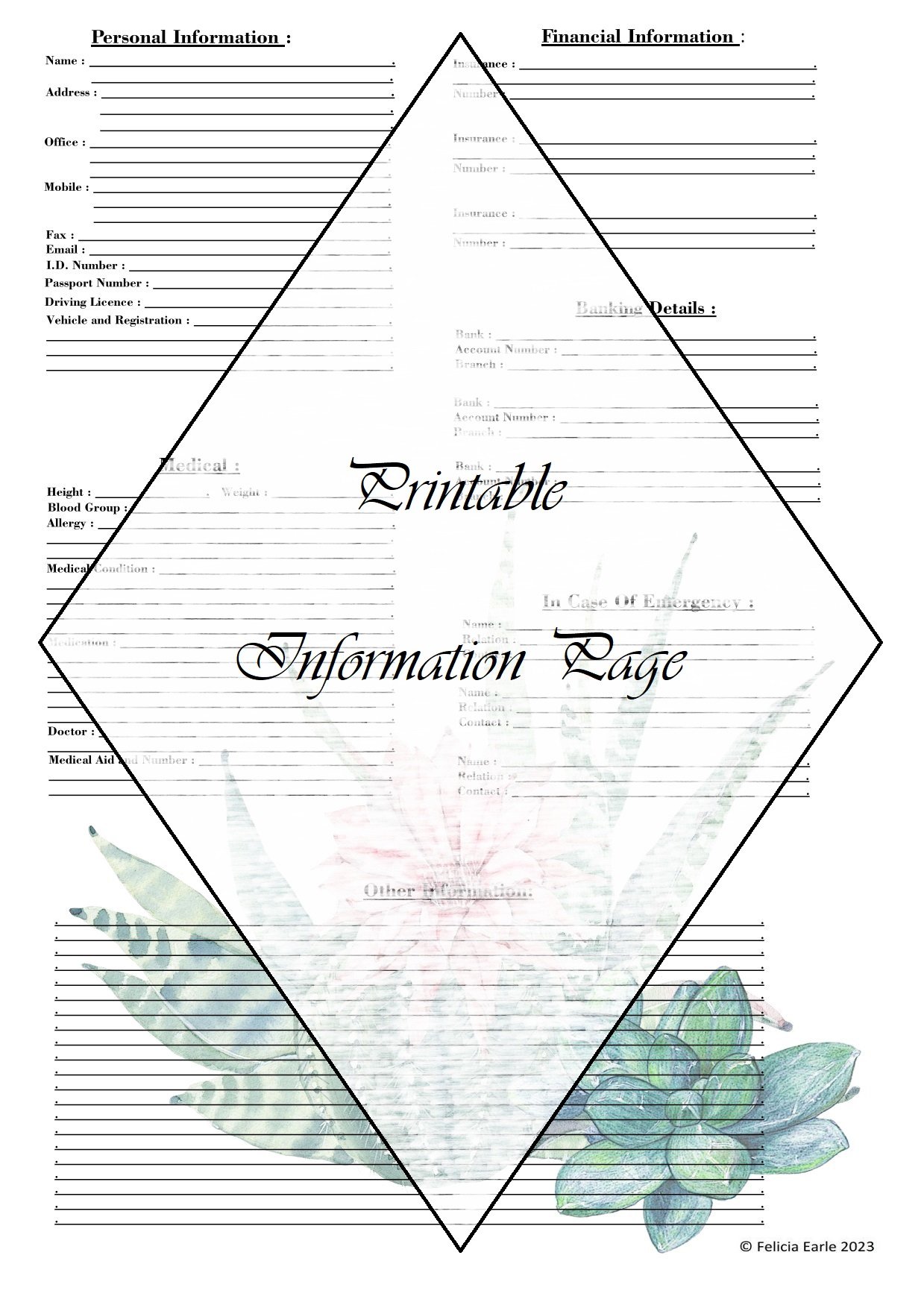 Pink Succulent information Page - Payhip