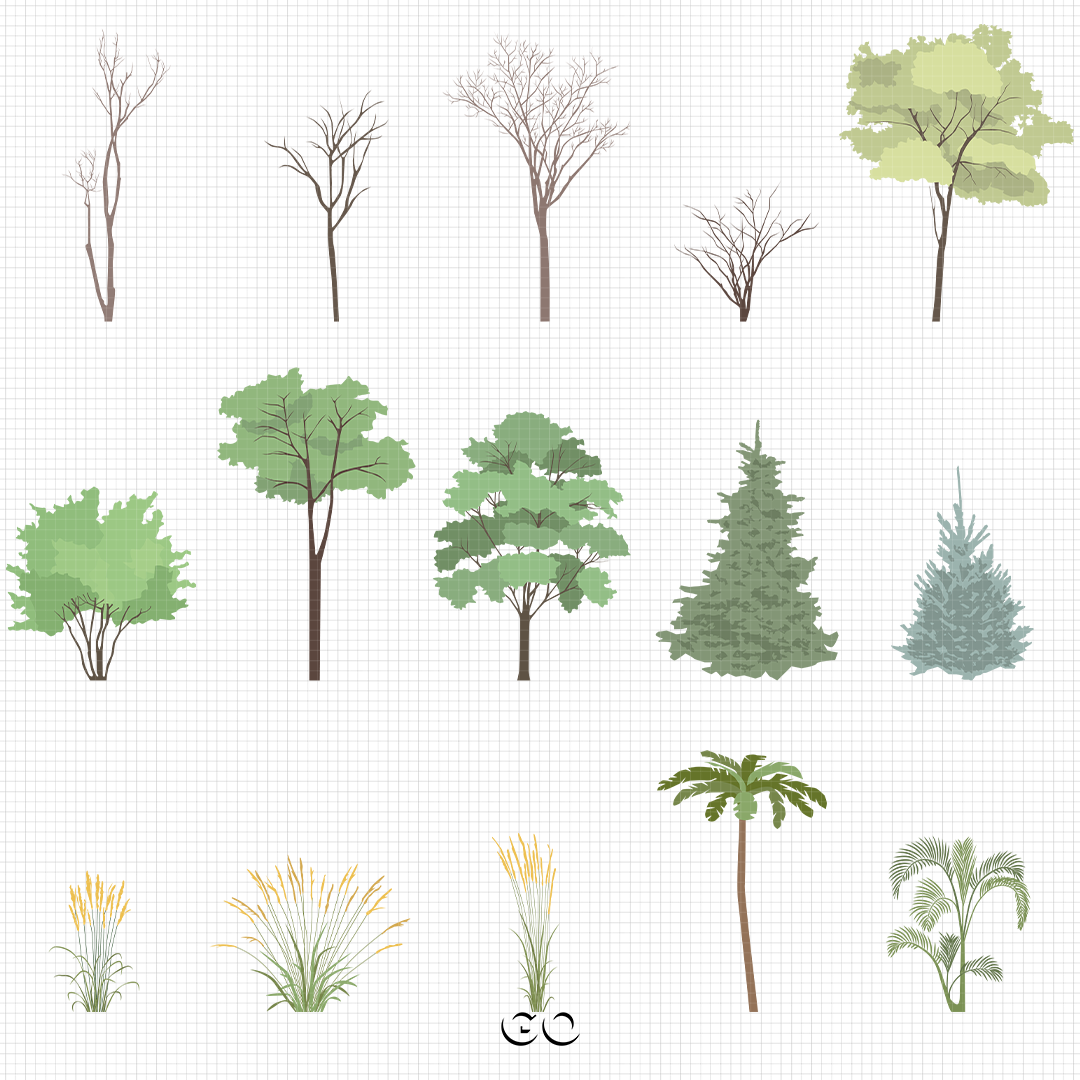 ILLUSTRATED TREES & PLANTS - Payhip