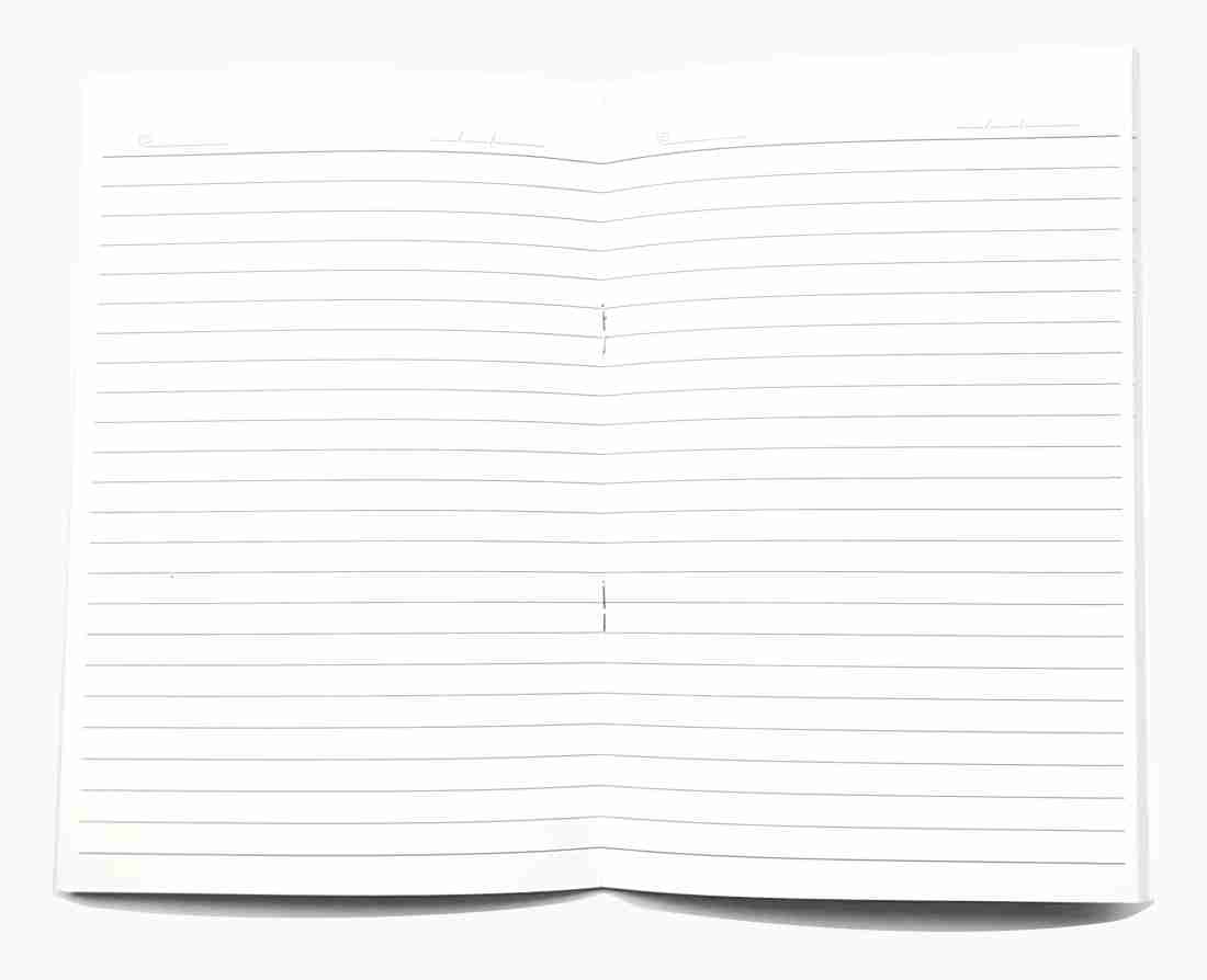 A5 Diary Ruled 160 Pages Premium Quality Set Of 2 - Payhip