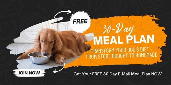 FREE 30-Day Homemade Dog Food Meal Plan