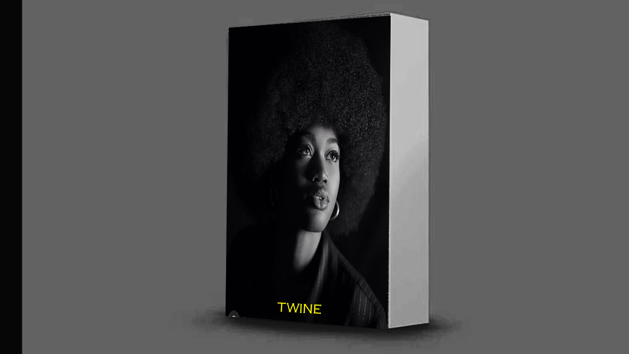 Amapiano MIDI Pack ''Twine'' - Payhip