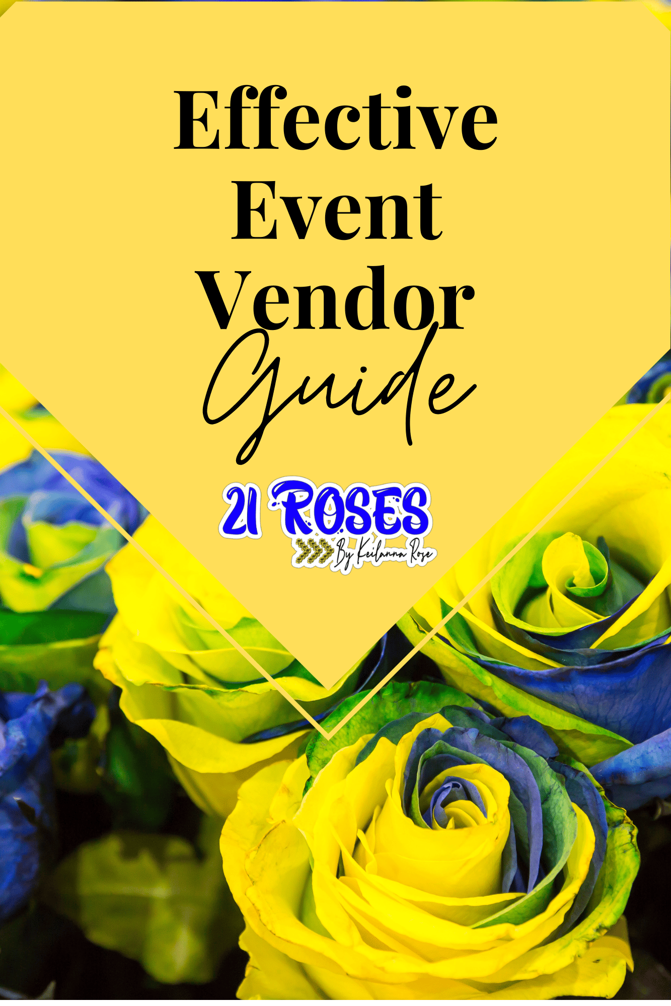 Effective Vendor Guide - Payhip