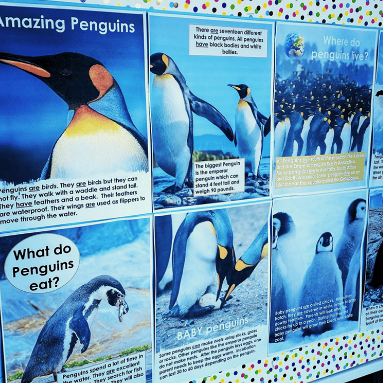 penguin unit for first grade