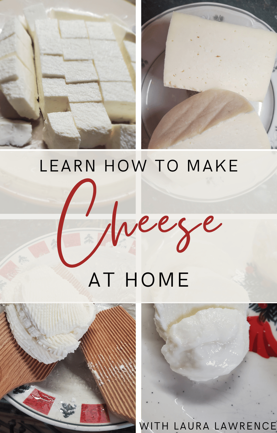 Learn how to make cheese at home