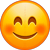 smiley emoji bullet point