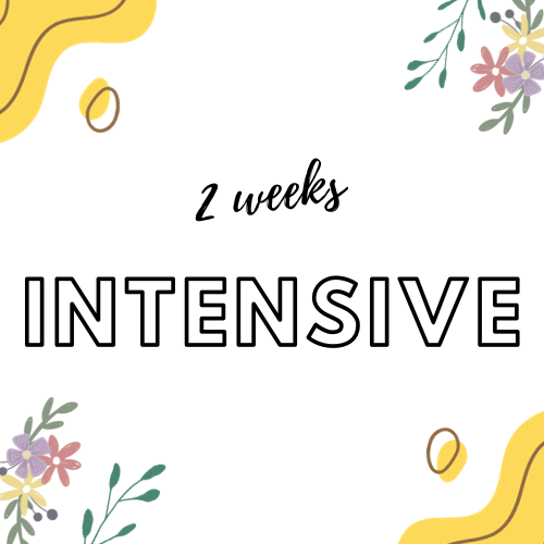 2 Weeks Intensive - Payhip