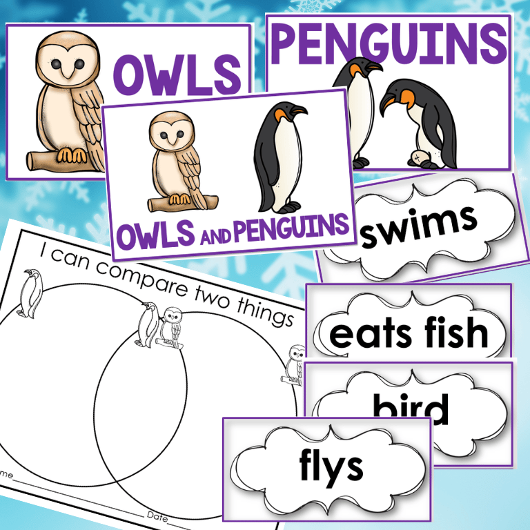 compare and contrast penguins and owls