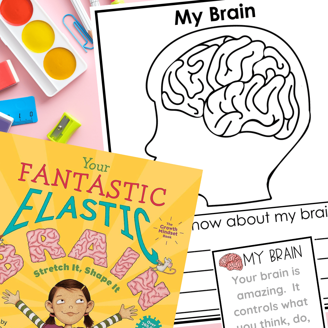 Growth Mindset -Learning about the Brain