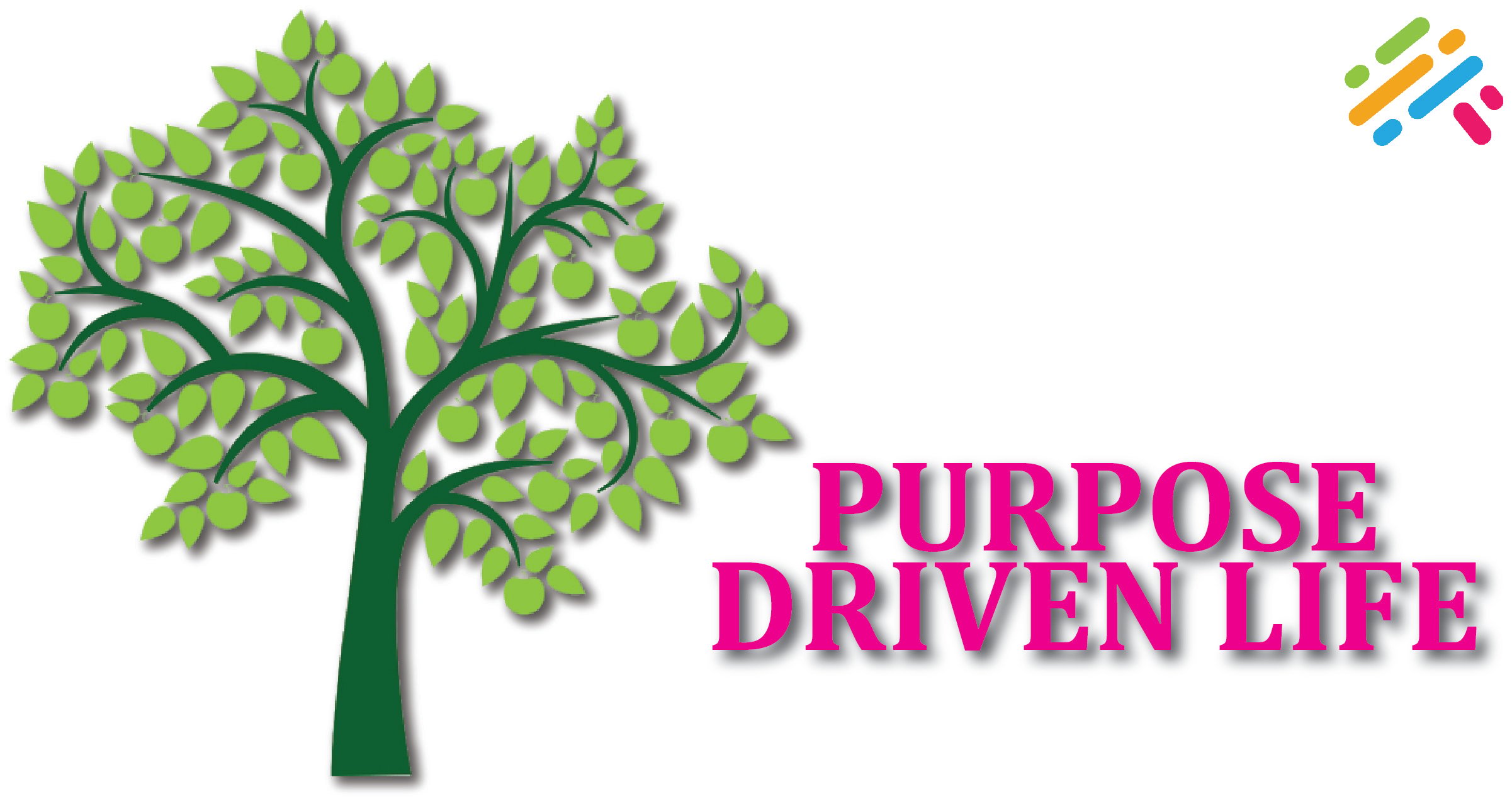 Purpose Driven Life