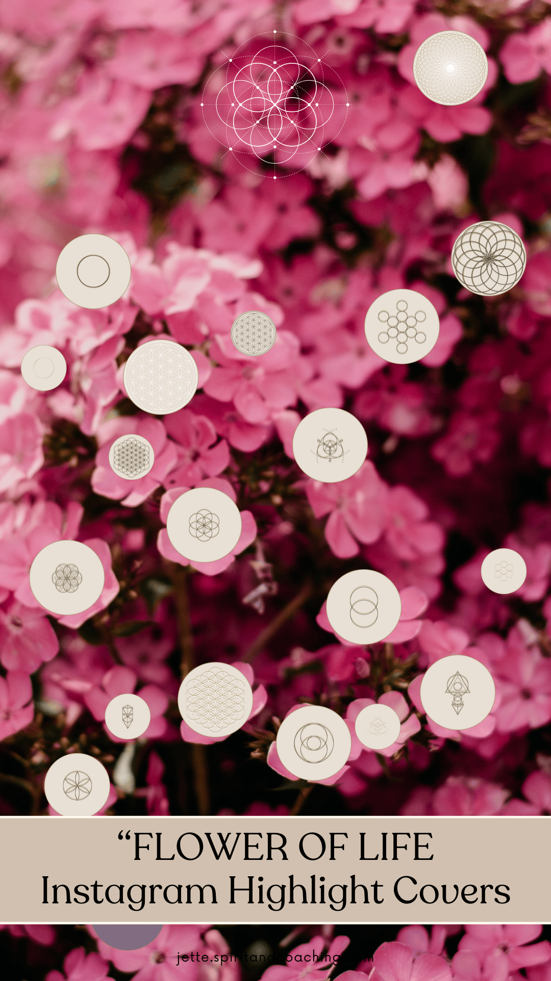 flower-of-life-instagram-hightlight-covers-jette-hofmann