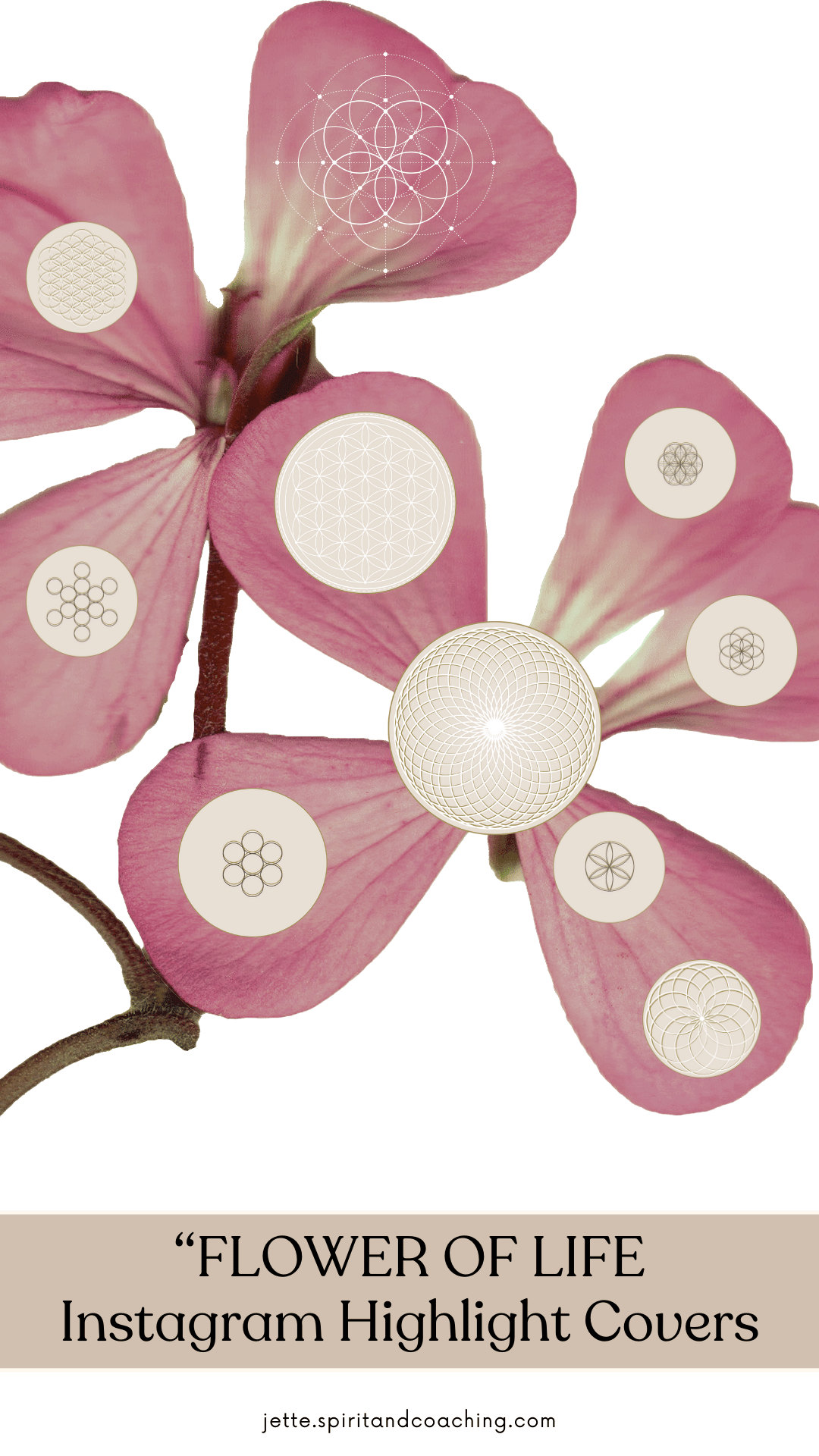 flower-of-life-instagram-hightlight-covers-jette-hofmann