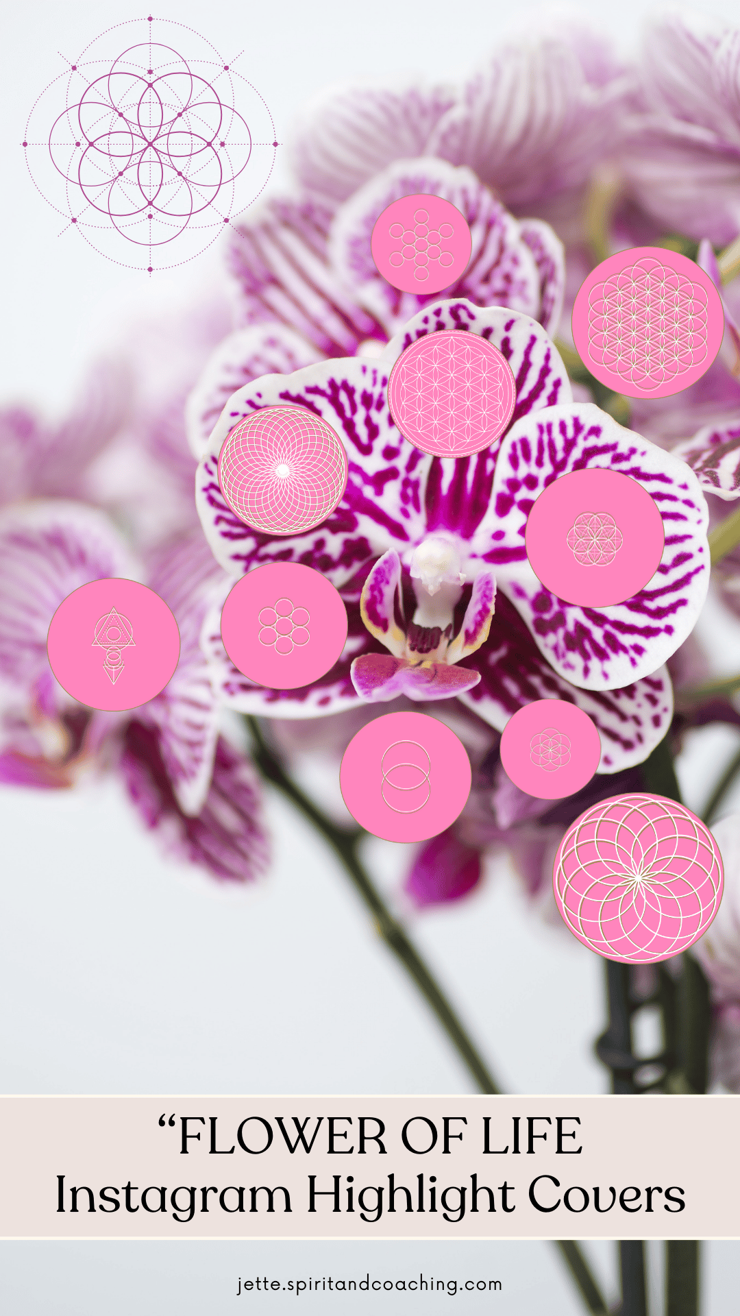 flower-of-life-instagram-hightlight-covers-jette-hofmann