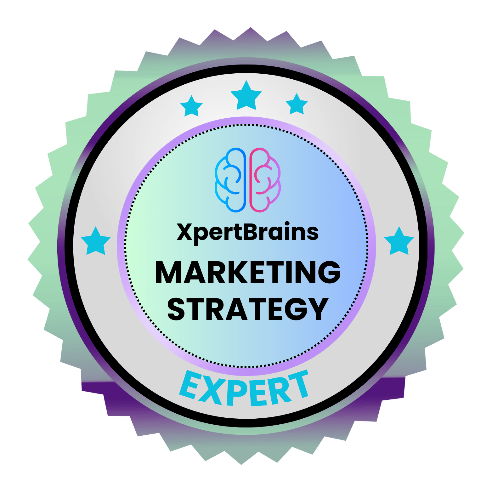 Marketing Strategy Expert (MSE)