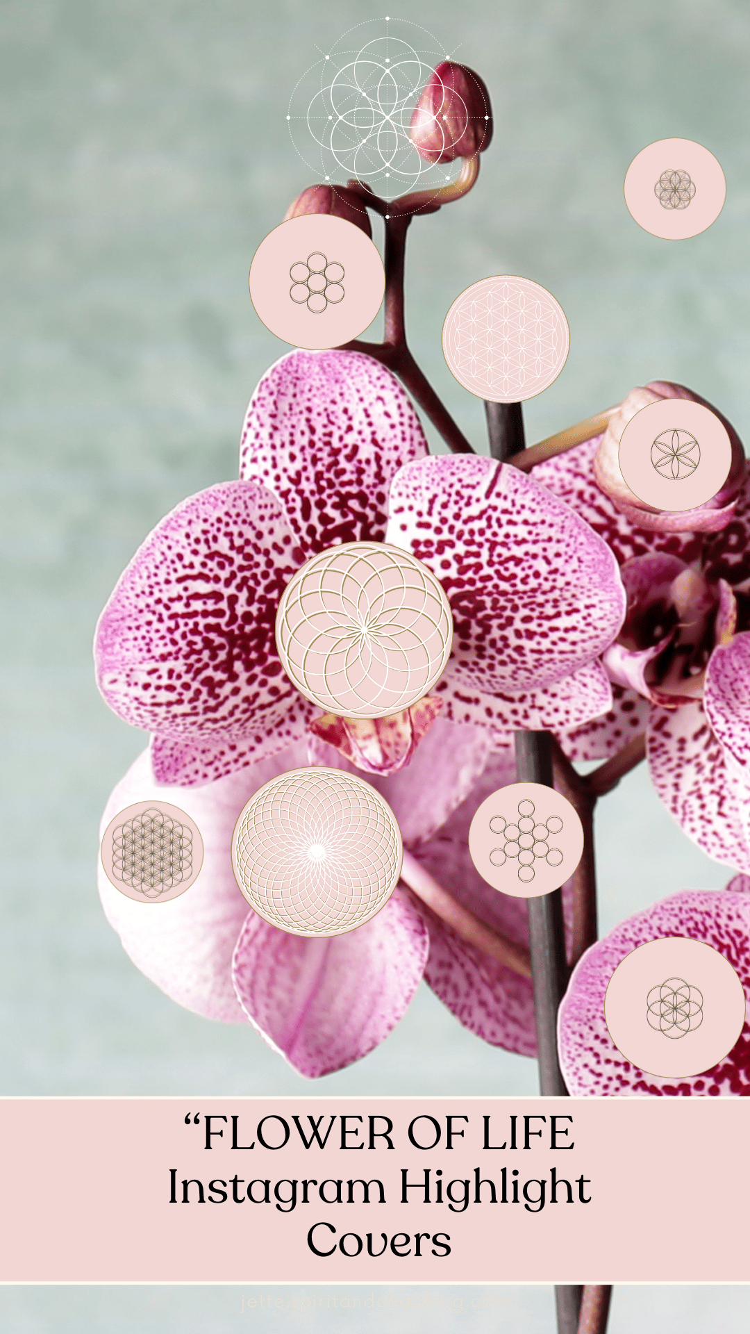 flower-of-life-instagram-highlight-covers