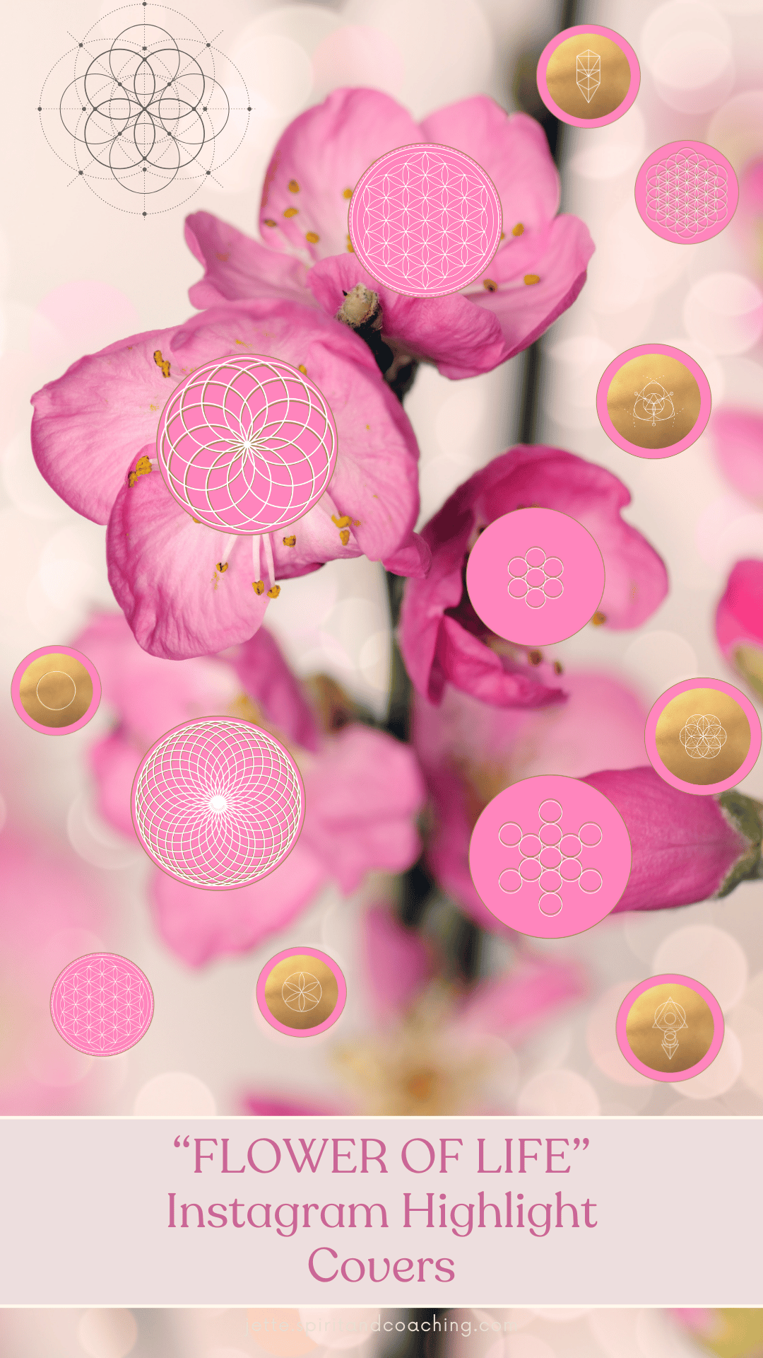 flower-of-life-instagram-highlight-covers-jette-hofmann