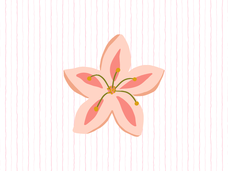 Ilustración de flor rosa