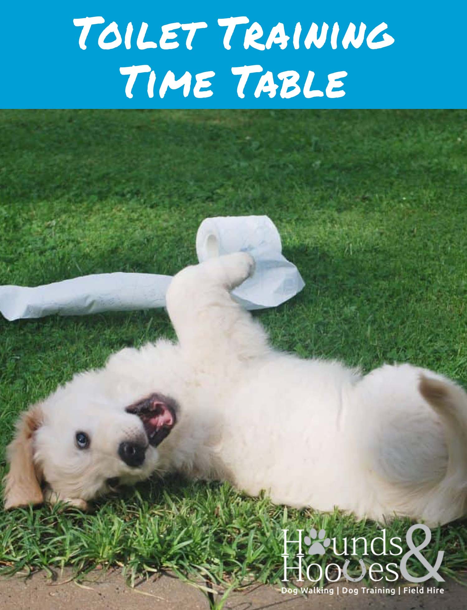 toilet-training-time-table-payhip