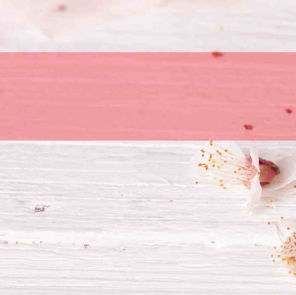 Eine Gartentrauung in Hamburg bietet die perfekte Kulisse für eine romantische und idyllische Hochzeit im Freien. Hamburg ist reich an schönen Gärten und Parks, die sich ideal für eine solche Zeremonie eignen. Hier sind einige Tipps und Ideen für eine unv