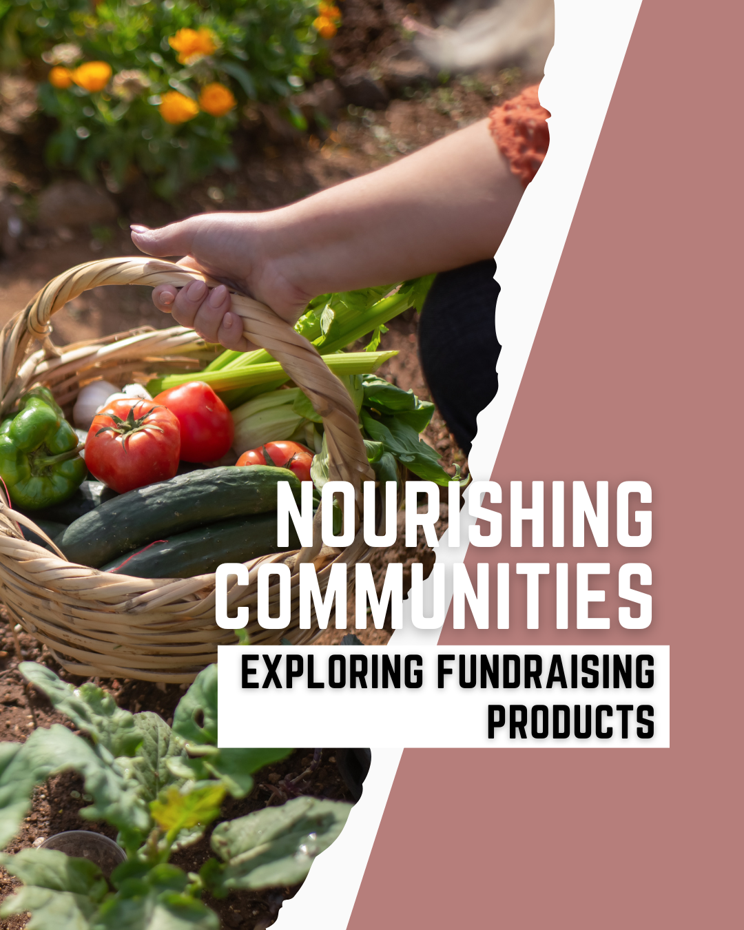 Fundraising Products NZ,  Whole Food Made Easy