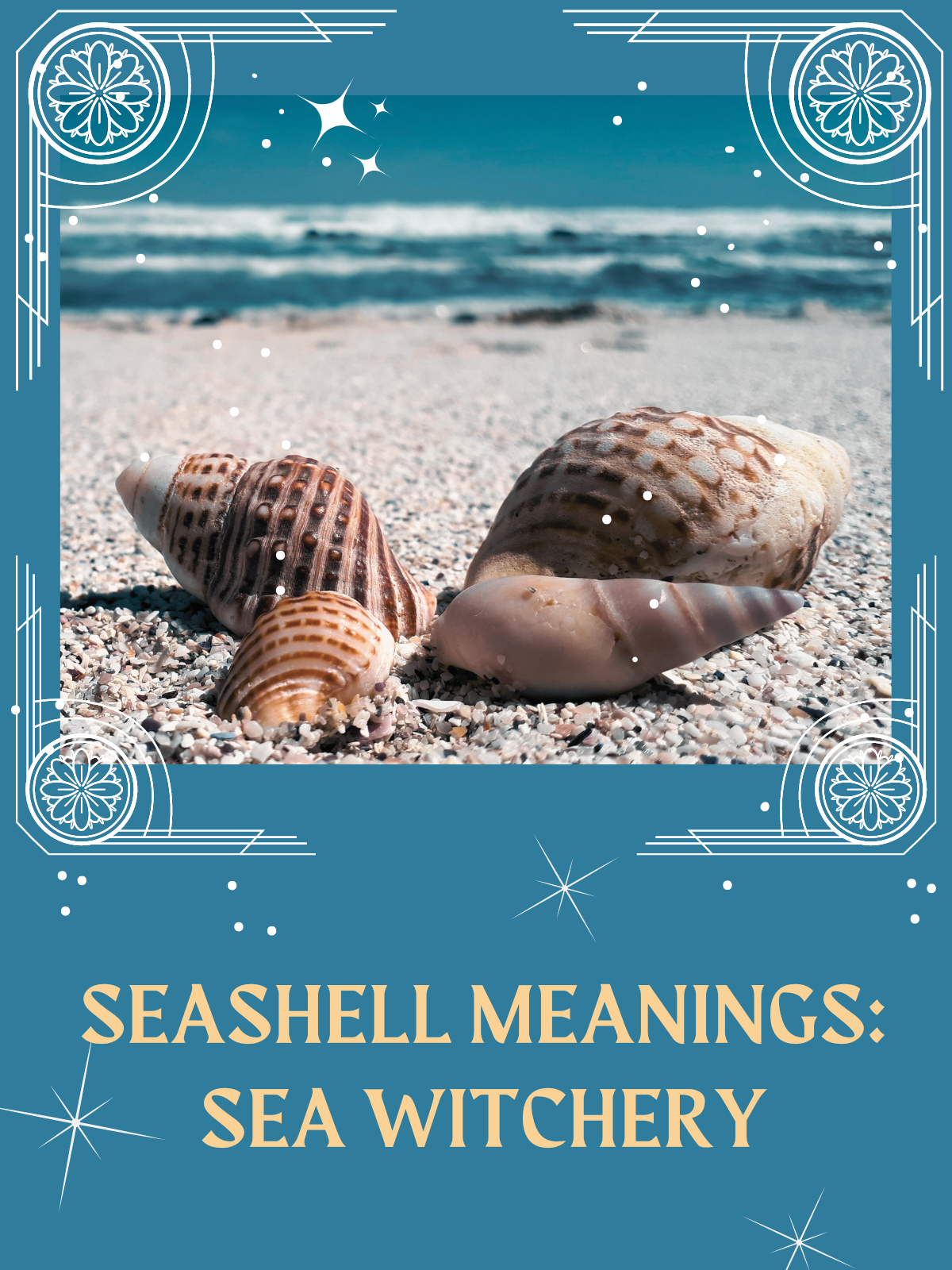 seashell meanings in sea witchcraft
