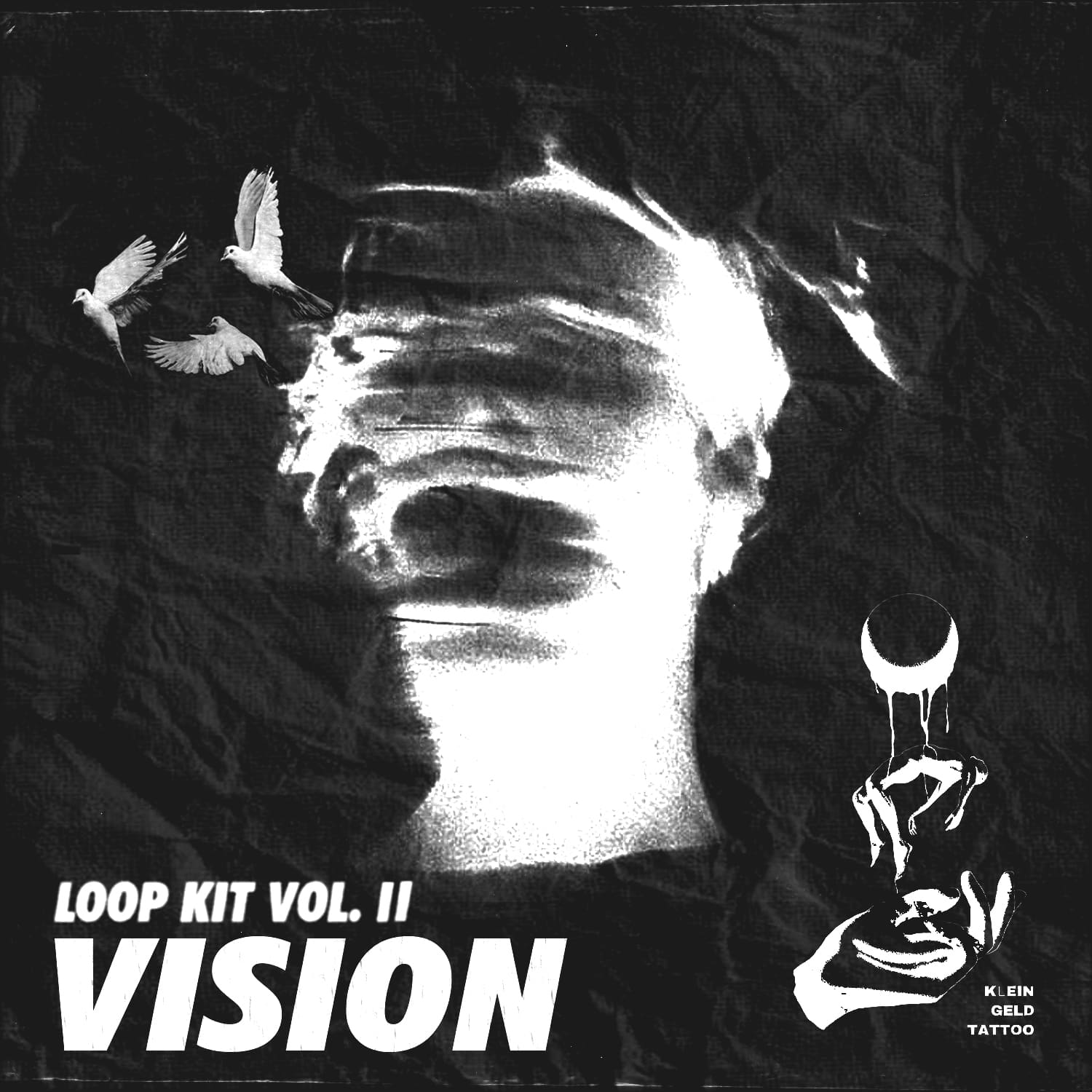 Loop Kit "Vision Vol. II" - Payhip