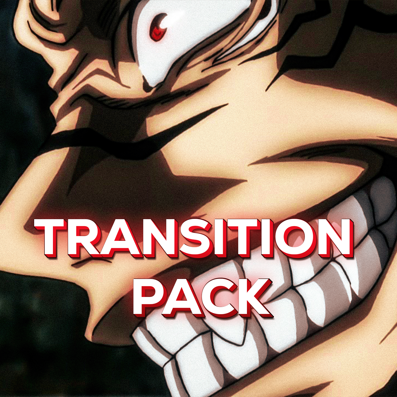 Transitions Pack (12) - Payhip