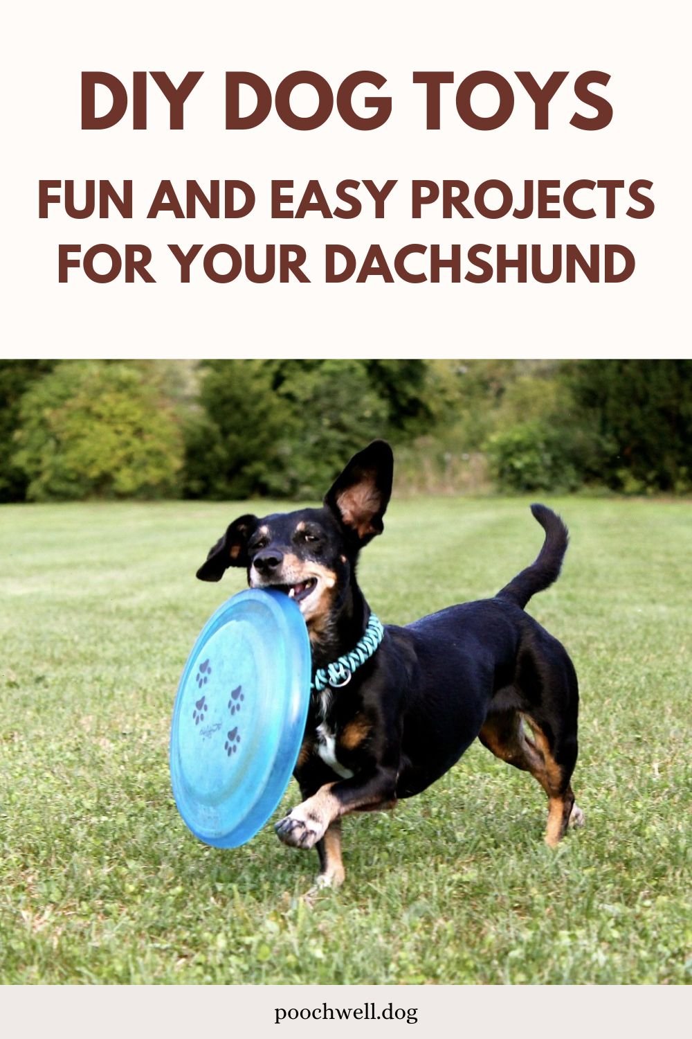 DIY ddog toys